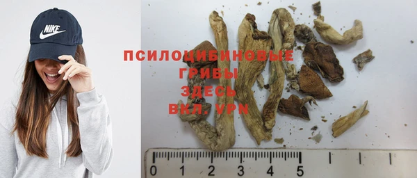 хмурый Новочеркасск