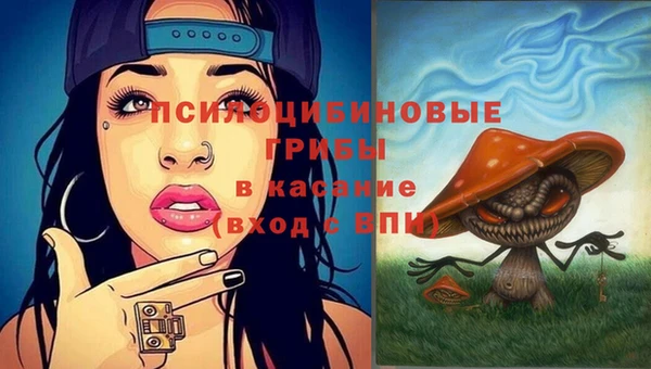 гашиш Абаза