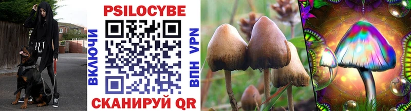 Псилоцибиновые грибы прущие грибы  Алагир 